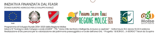Di Borgo in Borgo logo